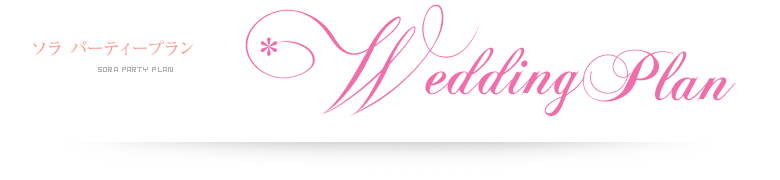 ソラ パーティープラン